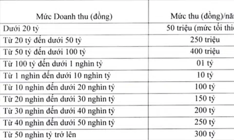 Phí cung cấp dịch vụ viễn thông lên tới 300 tỷ với doanh nghiệp có doanh thu 50 nghìn tỷ trở lên