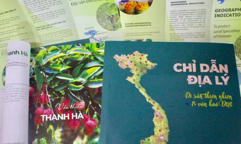 Các nhãn hiệu, chỉ dẫn địa lý được xử lý thế nào sau sắp xếp đơn vị hành chính?