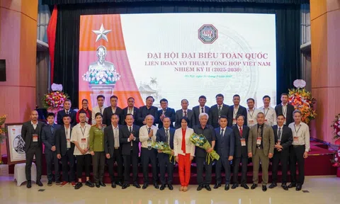 MMA Việt Nam – Từ khởi đầu gian khó đến khát vọng vươn xa