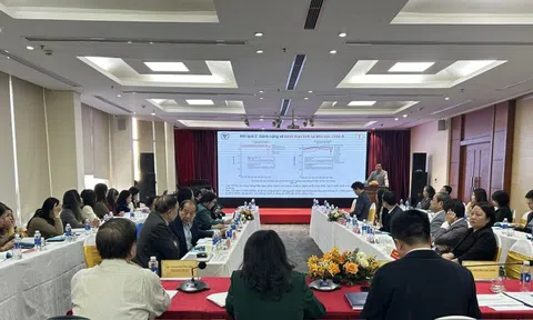 Báo động sức khỏe người cao tuổi ở Hà Nội và TP.HCM từ nghiên cứu mới