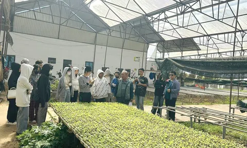 Vì sao ngành Cảnh quan và Kỹ thuật Hoa viên luôn "khát" nhân lực?