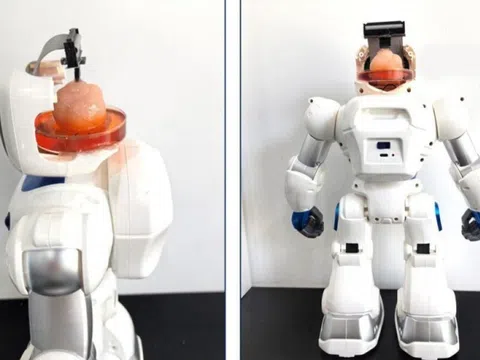 Công nghệ mới: Trung Quốc chế tạo thành công robot mang bộ não con người