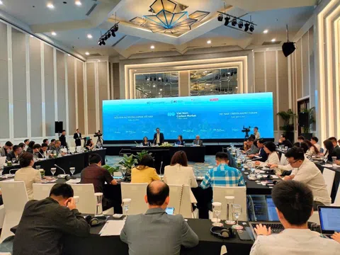 Mức độ sẵn sàng tham gia thị trường carbon của các doanh nghiệp Việt là khác nhau