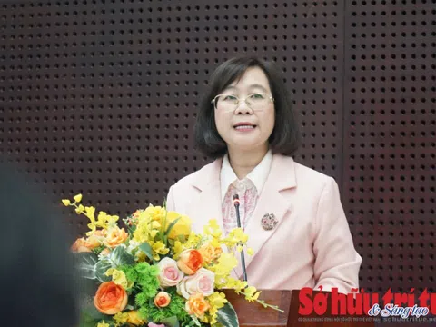 TP Đà Nẵng: Khoa học công nghệ hoạt động tích cực, dự án lấn biển có cần thiết?