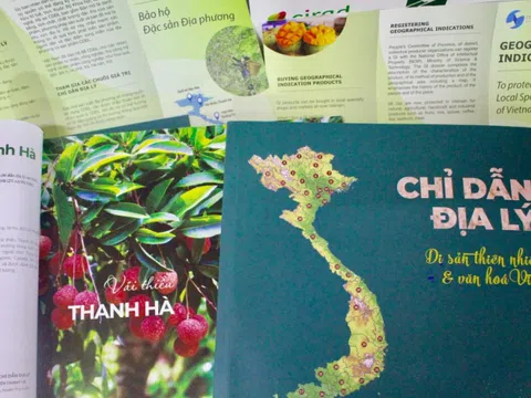 Các nhãn hiệu, chỉ dẫn địa lý được xử lý thế nào sau sắp xếp đơn vị hành chính?