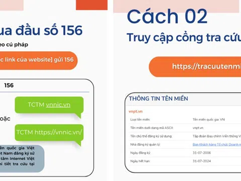 Tin nhắn của người dùng gửi tới tổng đài 156 để tra cứu thông tin tên miền được miễn phí.