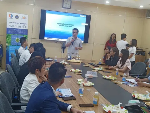 Khai thác hiệu quả kinh tế từ rong biển