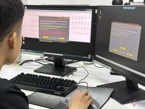 Hơn 46% tổ chức, doanh nghiệp Việt Nam bị tấn công mạng trong năm nay