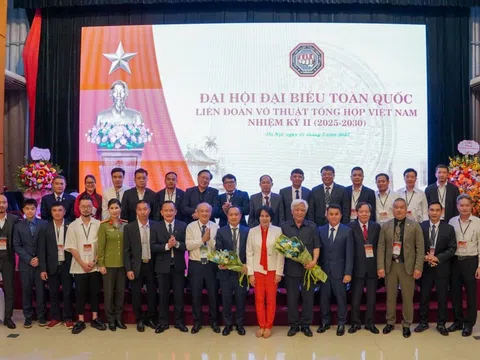 MMA Việt Nam – Từ khởi đầu gian khó đến khát vọng vươn xa