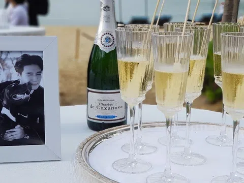 WeWine - Hành trình 27 năm và những dấu ấn