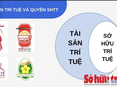 Việt Nam chú trọng bảo hộ nhãn hiệu nhiều hơn tài sản trí tuệ khác