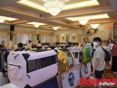 Độc đáo cuộc thi sắc đẹp mèo tại TP.HCM