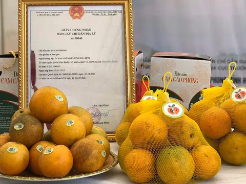 Hội nghị Xúc tiến cung cầu và giới thiệu sản phẩm của các hợp tác xã tỉnh Hoà Bình năm 2022 tại TP. Hà Nội