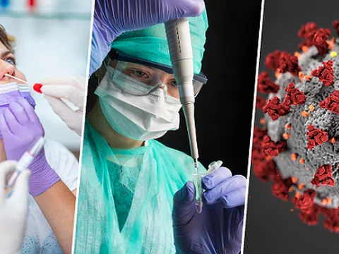 Ứng dụng trí tuệ nhân tạo phát hiện sớm các biến thể virus gây bệnh COVID-19