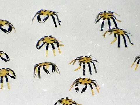 Phát minh robot điều khiển từ xa nhỏ nhất thế giới