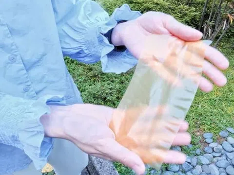 Giấy tạo từ phấn hoa có thể in và xóa nhiều lần