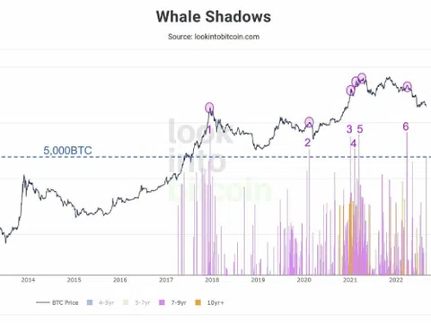 10.000 Bitcoin thức giấc